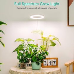 (802) LBW Plant Grow Lights, 72 LEDs Desk Halo Grow Light for Indoor Growing, Full Spectrum Grow Lamp with 4/8/12H Auto Timer, 4-Level Brightness, 16"