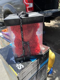 Rose Bear Brand New