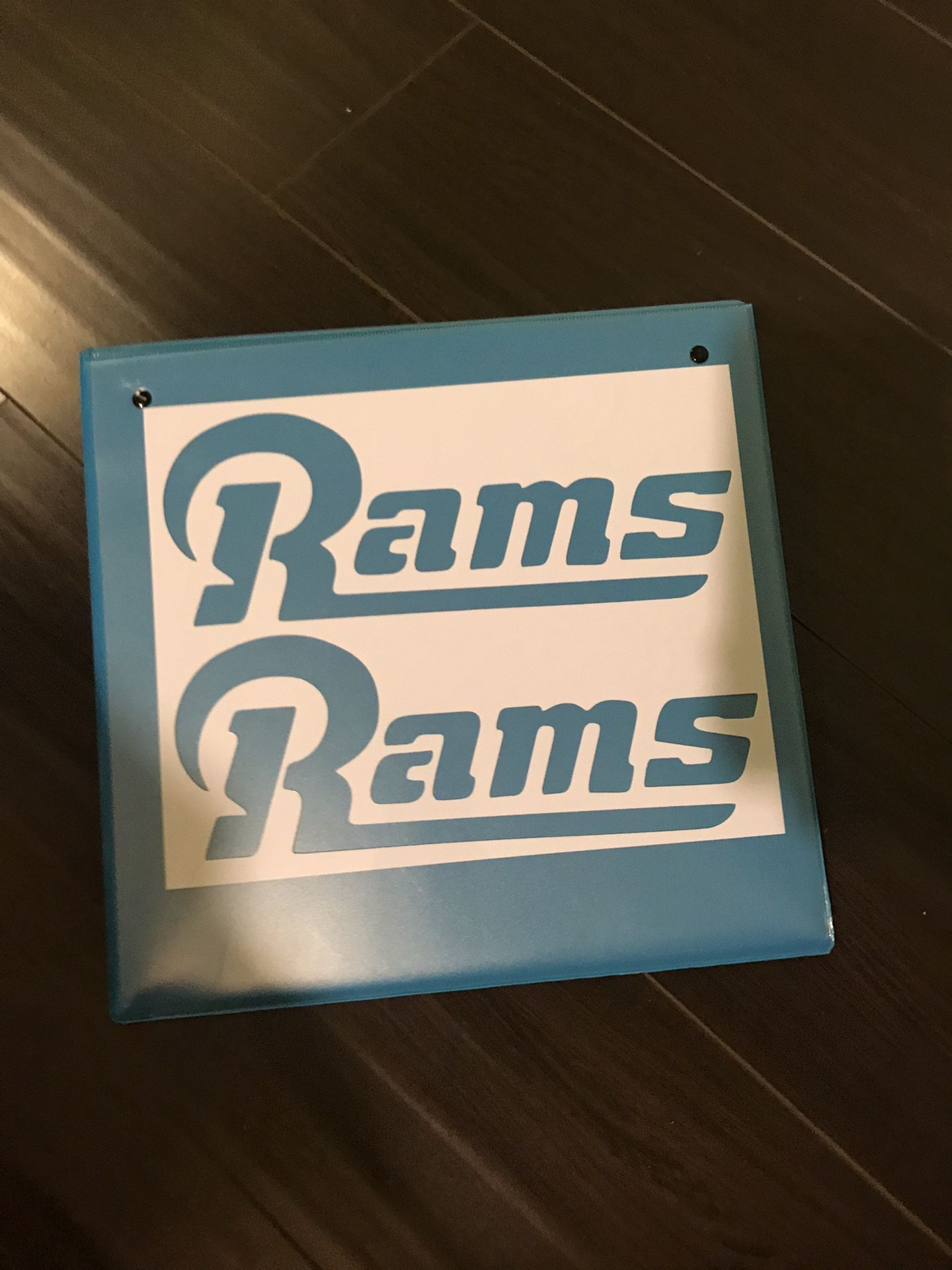 Stencil Rams Size 10x8 Reusable 