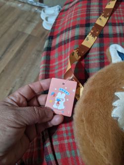 Labubu bag