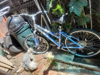 Cimarron  bicicleta para mujer
