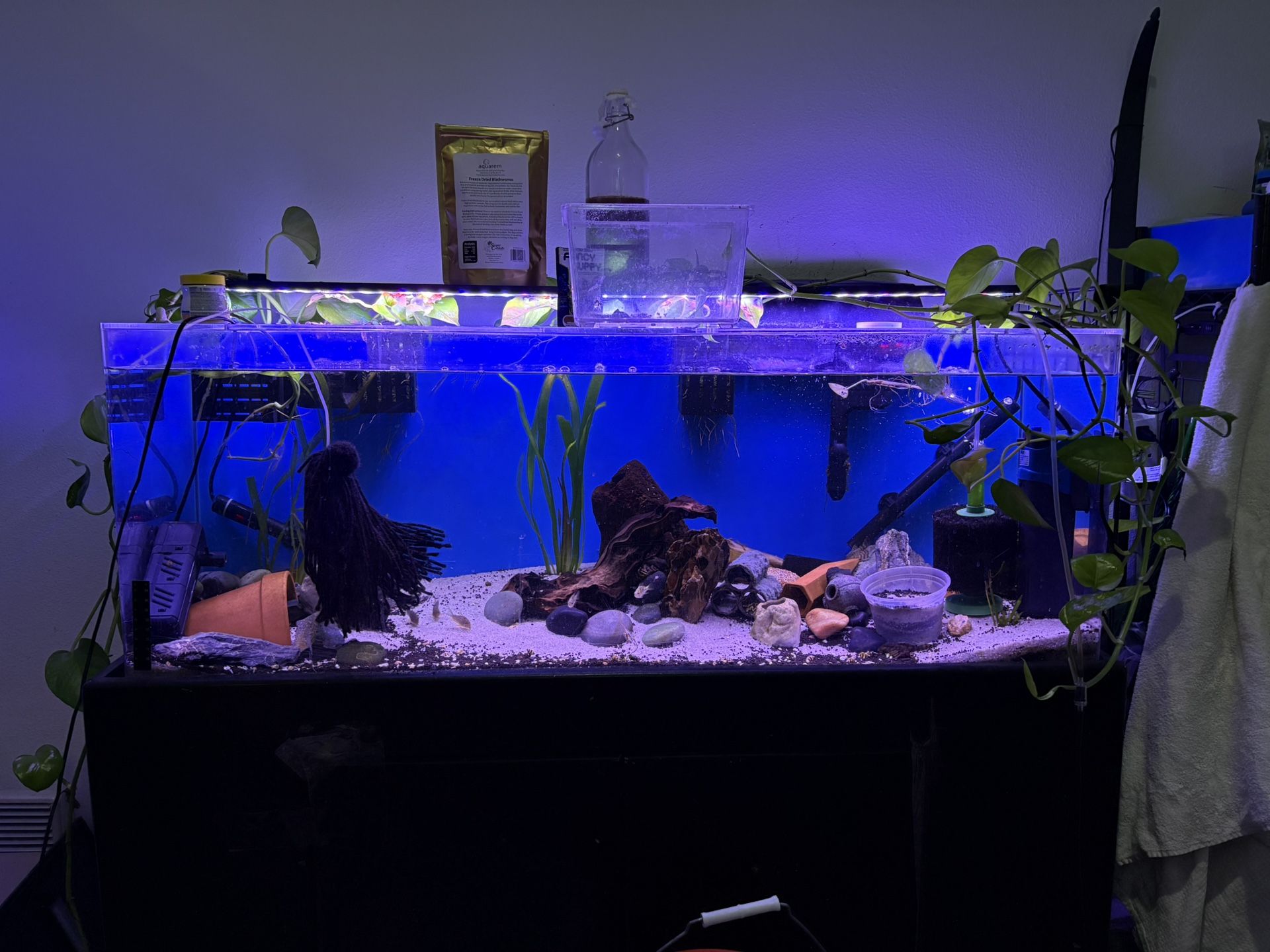 55 Gallon Acrylic Tank and Stand