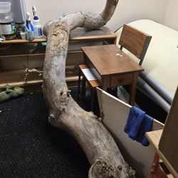Huge Reptile Wood