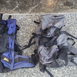 2 Mountain  Backpacks. 