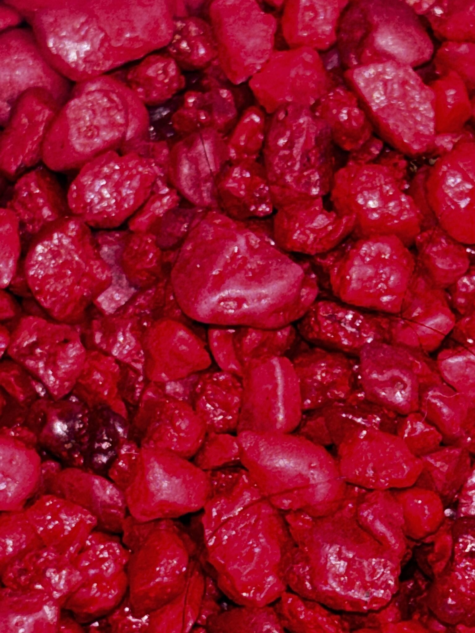 Fish Tank With Red Pebbles