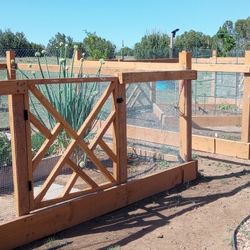 Garden Bed 10 Feet X 10 Feet