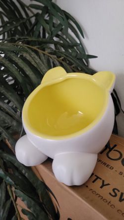 Pet Food Bowl 