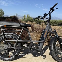 Rad Runner 3Plus E-bike
