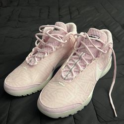  Nike LeBron NXXT Genisus 