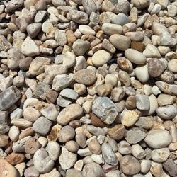 White River Rock - Yard