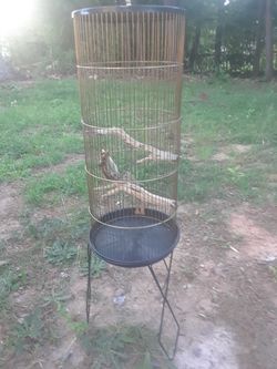 Bird cage med size.