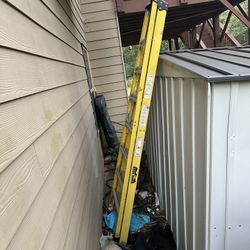 Ladder 8ft