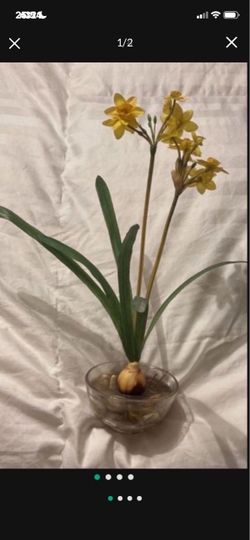 Vintage Daffodil Artificial Flower Arrangement