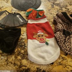 Dog Clothes 