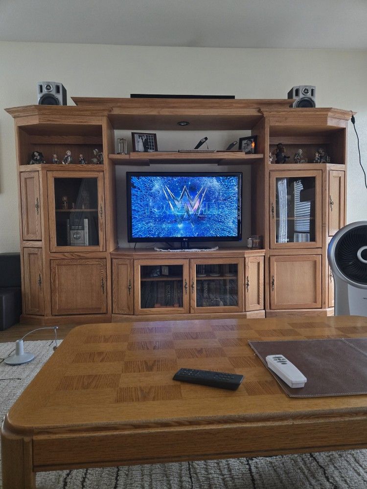 Entertainment center with lots of storage