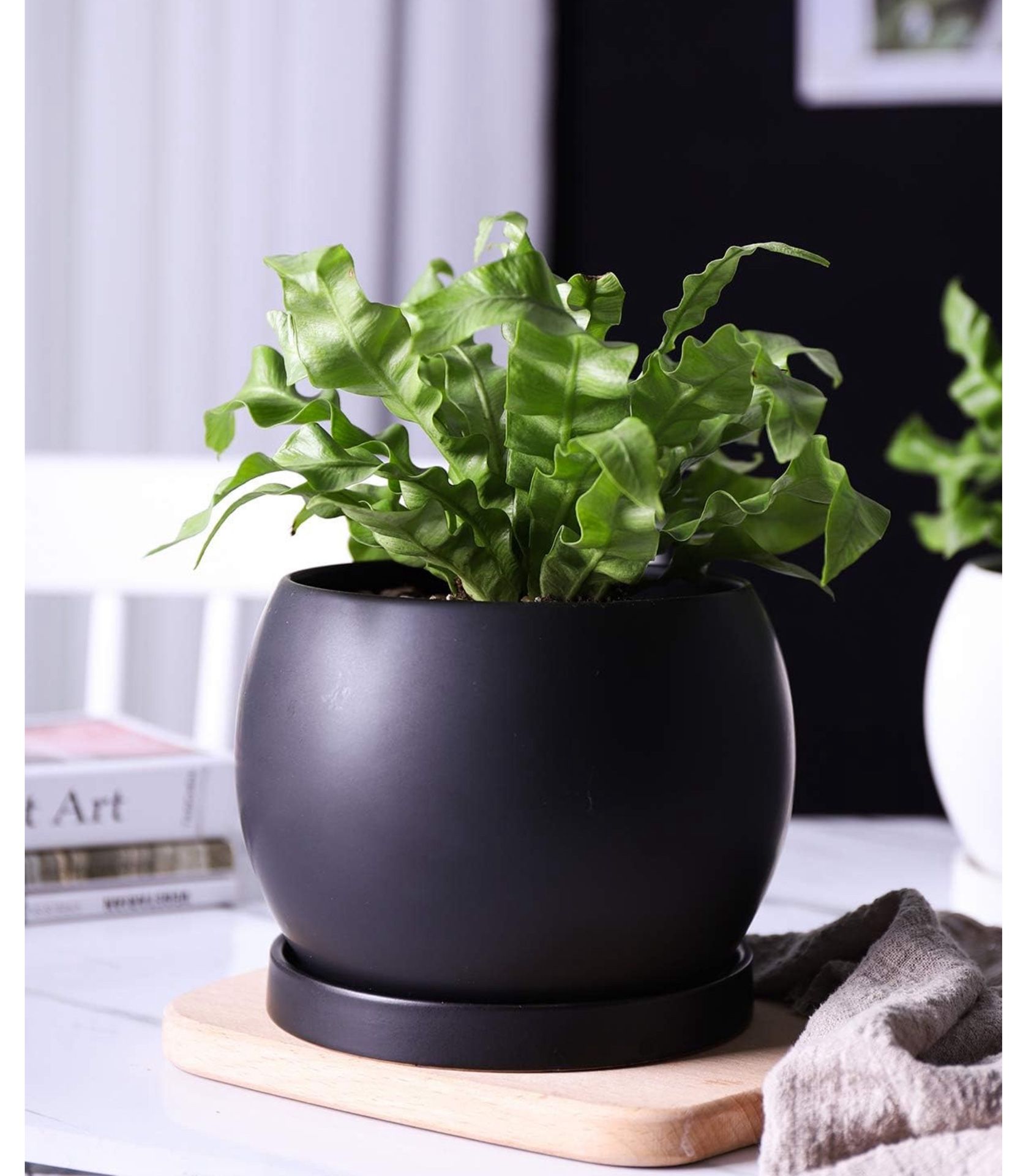 Wencassy Indoor Ceramic Planter Flower Plant Pot-5 Inch with Drainage Hole and Tray for Planting - Globe, Matte Black New