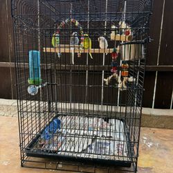 Cage