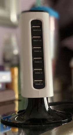 Sharp Image Charging Station