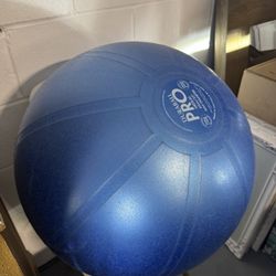 Exercise Ball 