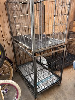 Dog kennel