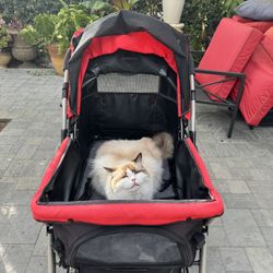 HPZ Pet Stroller - Cat Is Not For Sale 