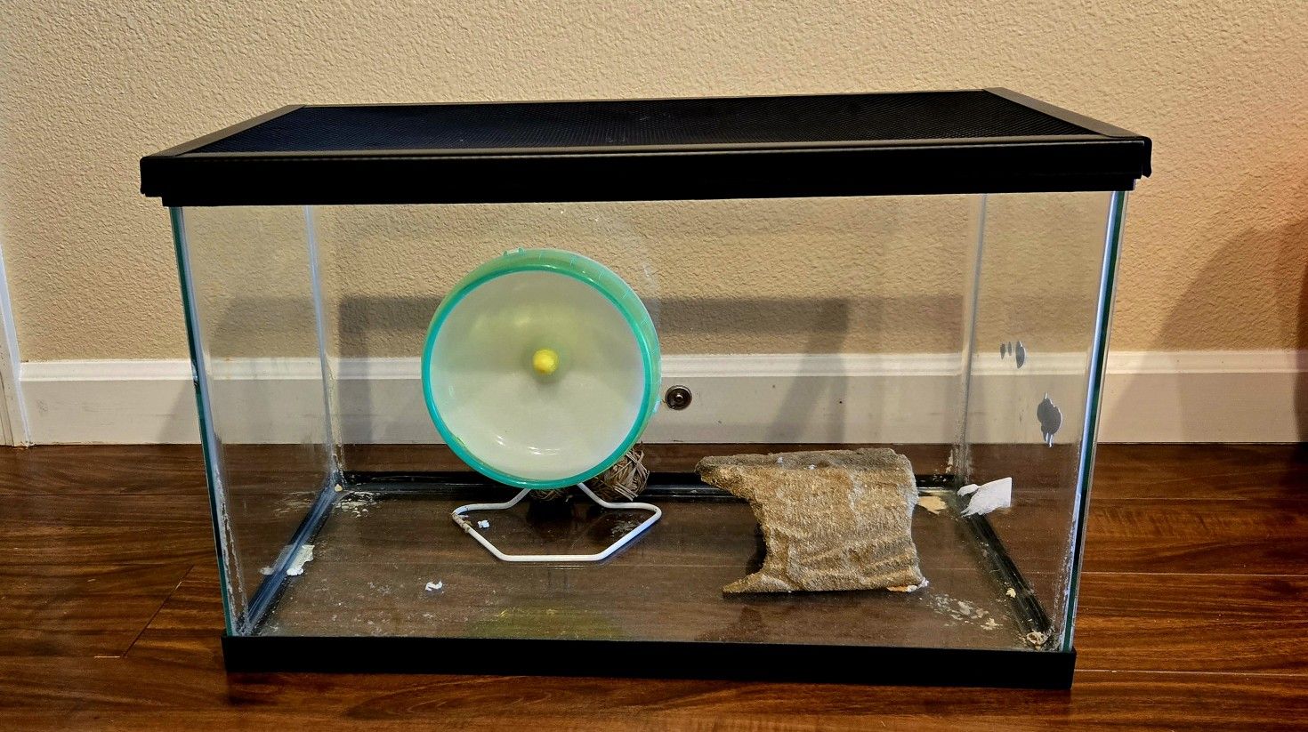 Fish Tank (10 Gallon)