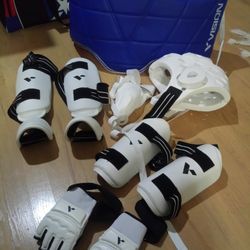 Martial Arts sparring gear
