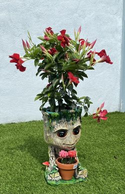 Groot