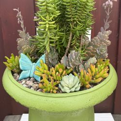 Succulents Butterfly Chartreuse/Green Resin Planter 18.5"H Rocks