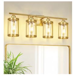 Osimir 4-Light Brushed Gold Bathroom Light Fixtures with Clear Glass and Metal Cage