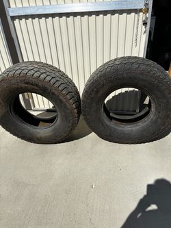 Falken Wildpack