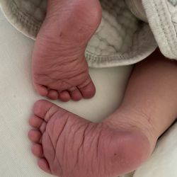 Cloth Diapering - Starter Set