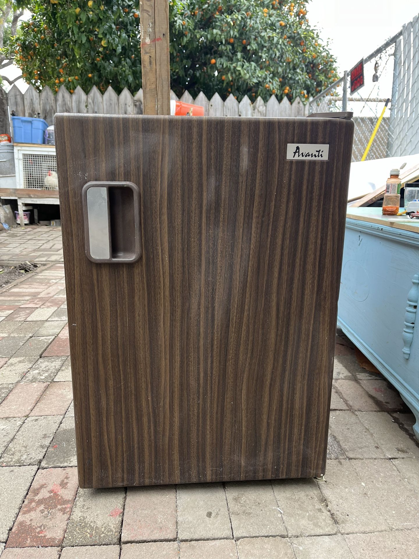 Avanti Mini Fridge