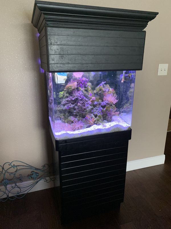 30 gal saltwater aquarium for Sale in Bushnell, FL OfferUp