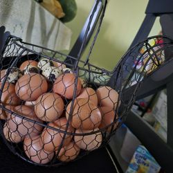 Chicken Eggs and Quail Eggs