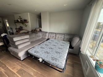 Sectional with pull out couch