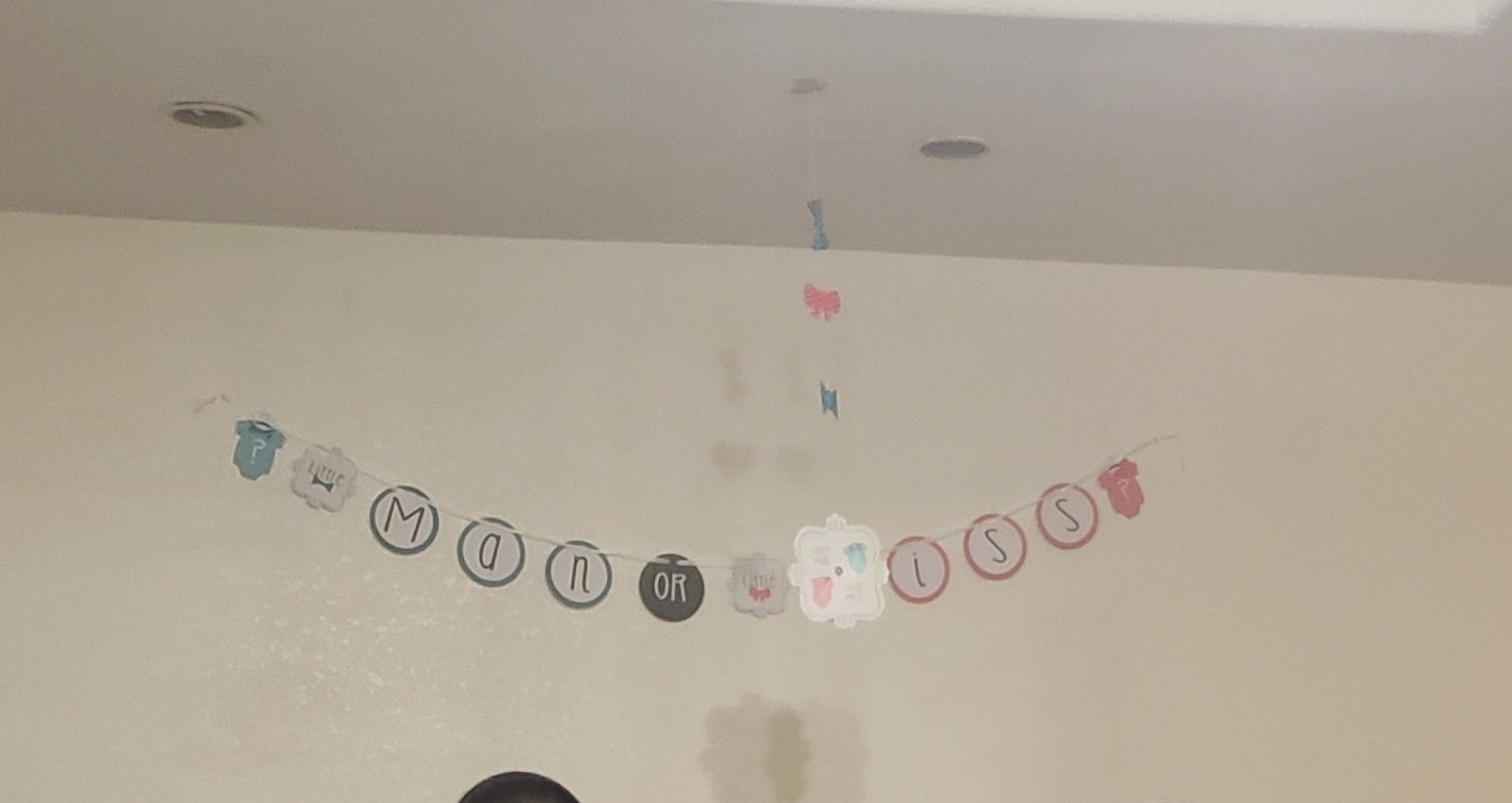 Gender Reveal Bath Bombs &Party Decor