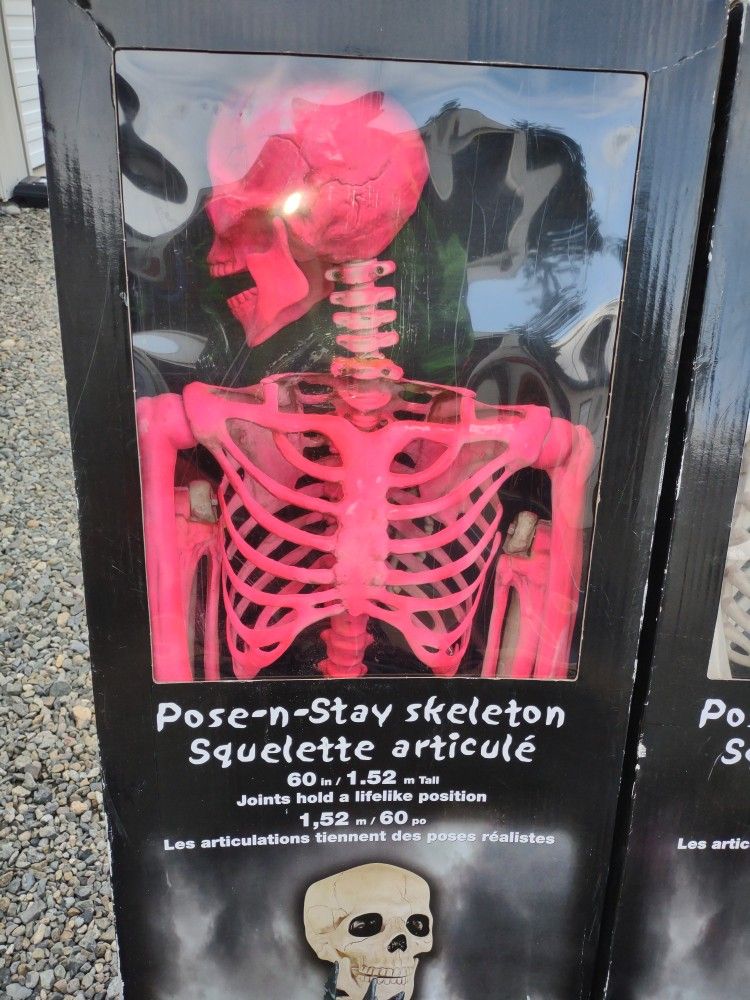 Halloween Decorations