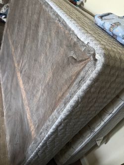 Bed and box spring