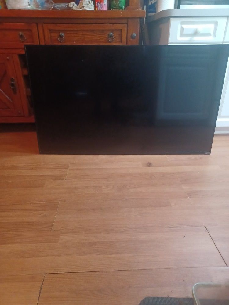 Vizio 55" TV