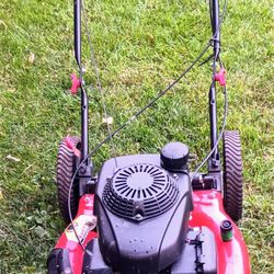 Troybilt Mower Self-propelled 