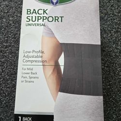 Exercise belt/brace 