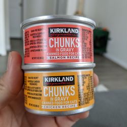 Cat FOOD - Chunks In Gravy