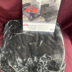2ply Queen Affordable Blanket 