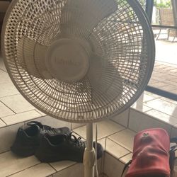 Fan