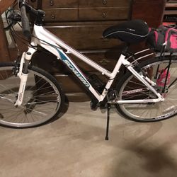 Schwinn Dual Sport Hybrid Bike