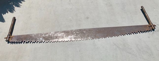 Vintage two man 66in saw