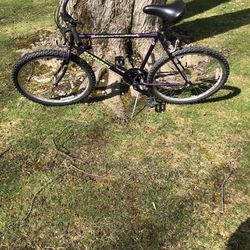 26” Schwinn Mountain Bike (xl Frame)