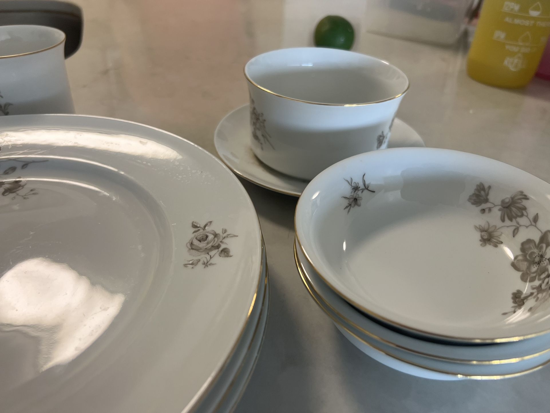 Vintage Johann Haviland Bavaria Germany Gray Rose Beige 38 pieces