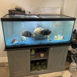 75 Gallon Freshwater Fish tank With Many Extras